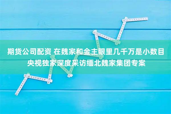 期货公司配资 在魏家和金主眼里几千万是小数目 央视独家深度采访缅北魏家集团专案